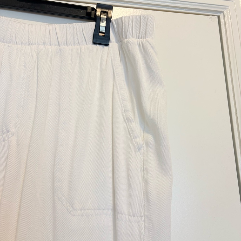 Splendid Casual Pants | size L - Picture 2 of 7
